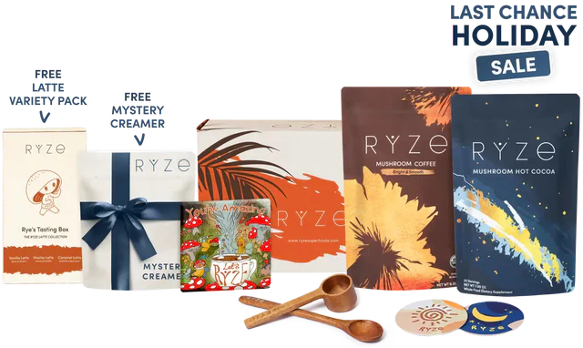 Day + Night Bundle 6P2X