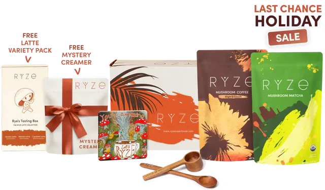 All Day Energy Bundle CVU5