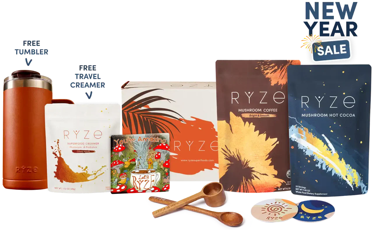 Day + Night Bundle B22Y