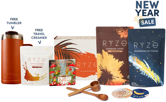 Day + Night Bundle B22Y