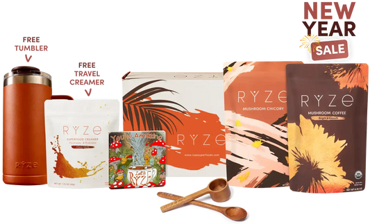 Lasting Energy Bundle 3O57