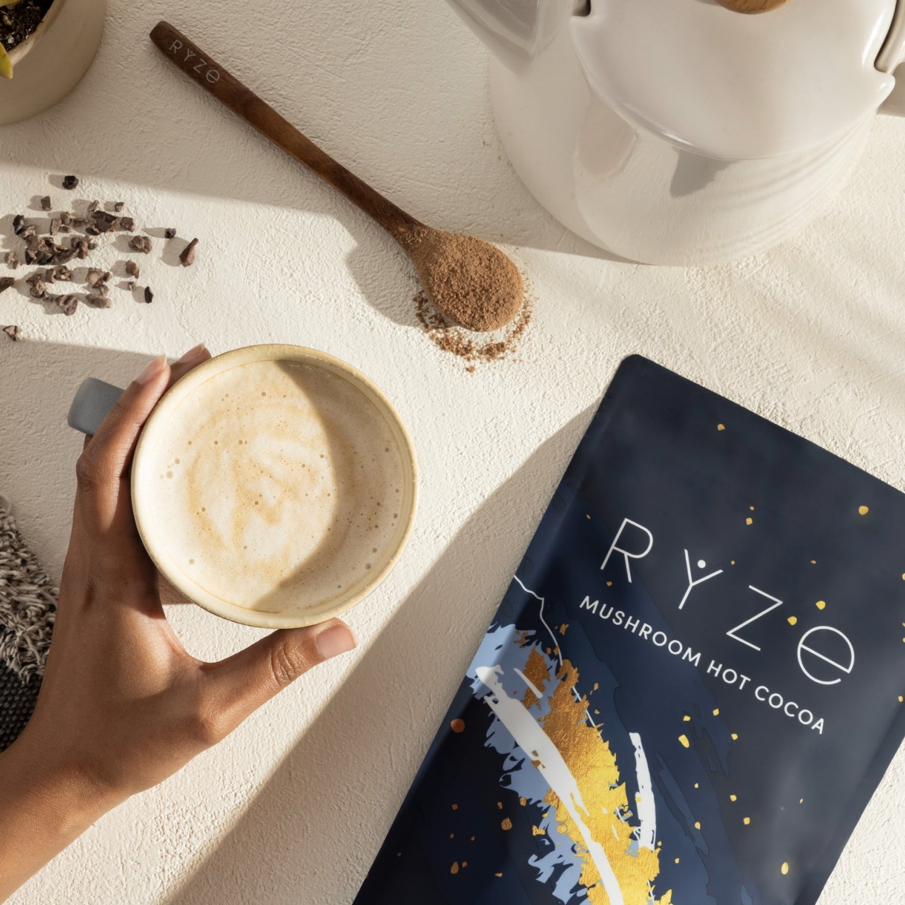 Mushroom Hot Cocoa 3BJ2