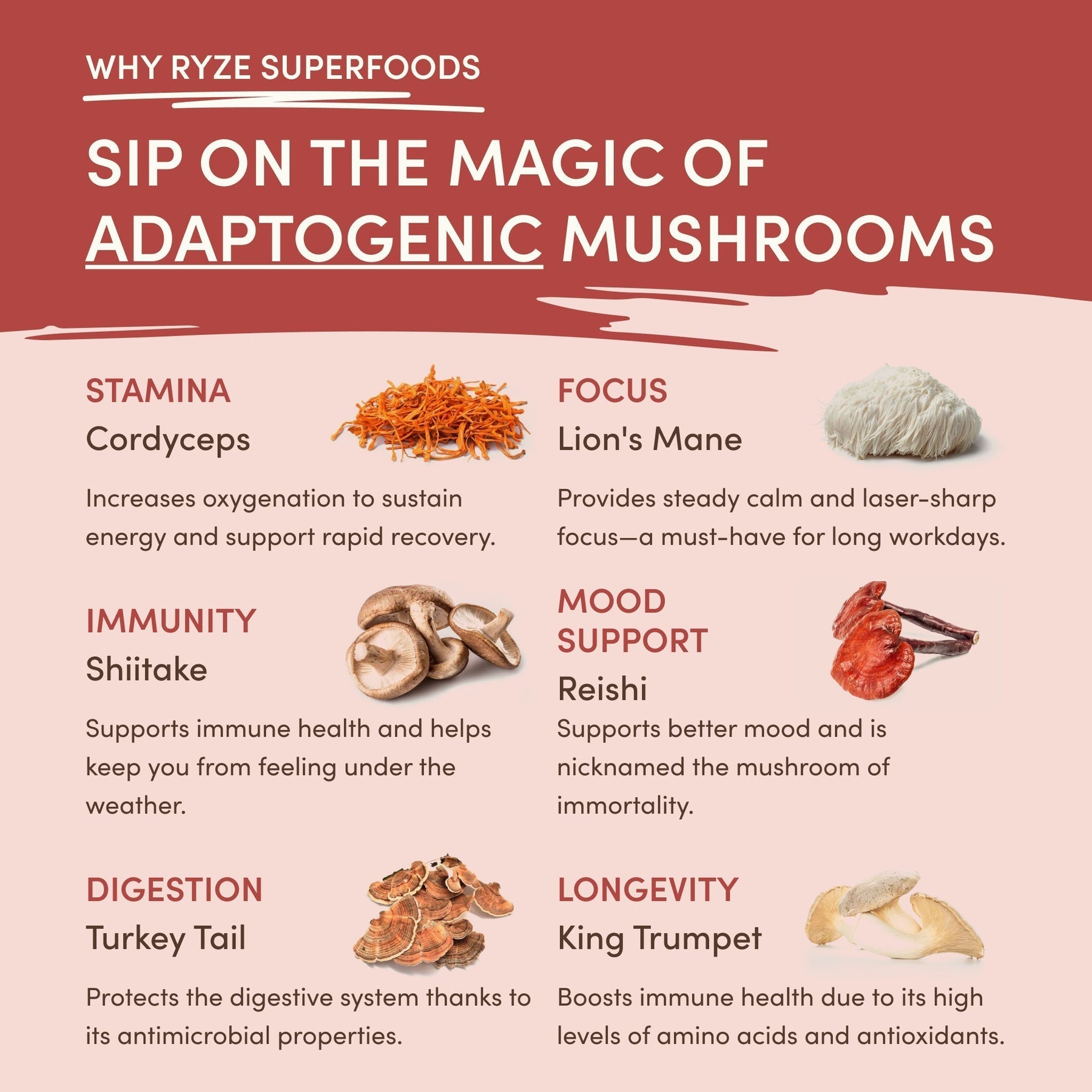 Mushroom Chai HVUG